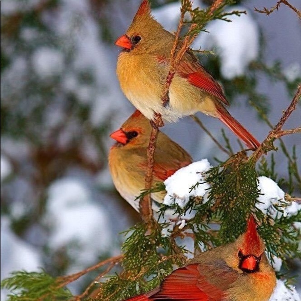 Meet your Posher, Melinda